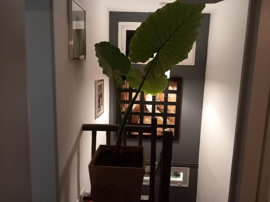 Maison Cosy - 4 Chambres Doubles Bergerac Luaran gambar